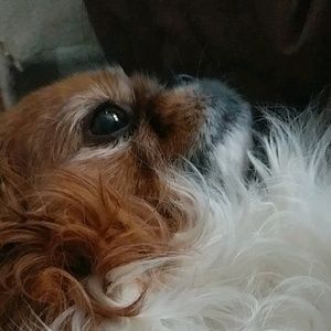 Meet your Posher, Alanna